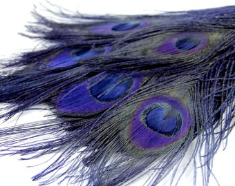 4 Navy Blue Peacock Feathers - Wholesale Peacock Feathers, 4 Pieces - "Navy Blue" Peacock Tail Eye Feathers. Perfect for your DIY projects.