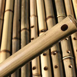 Bamboo Shakuhachi Flute Healing Flutes Bild 5