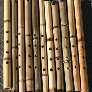 Bamboo Shakuhachi Flute Healing Flutes image 1