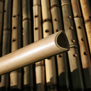 Bamboo Shakuhachi Flute Healing Flutes image 3