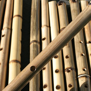 Bamboo Shakuhachi Flute Healing Flutes image 4