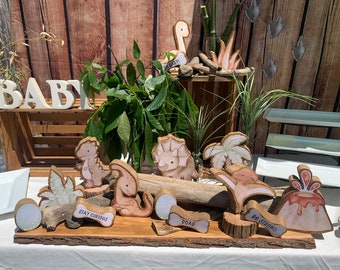Dinosaur Roar baby shower centerpieces 5 dinosaurs with plants and word bones. Solid wood then mod podge pictures.