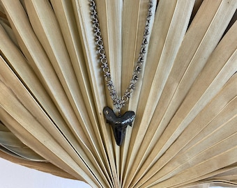 Black Shark Tooth Necklace