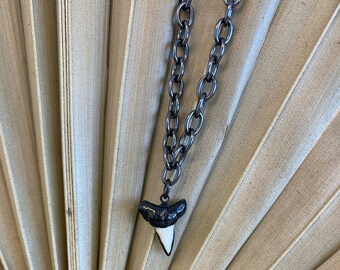 Shark Tooth Necklace