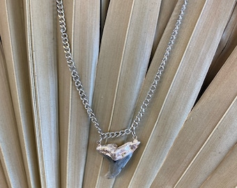Shark Tooth Necklace