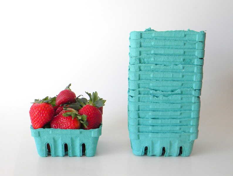 6 qty. 1/2 Pint Berry Baskets Berry Till Biodegradable Paper Etsy