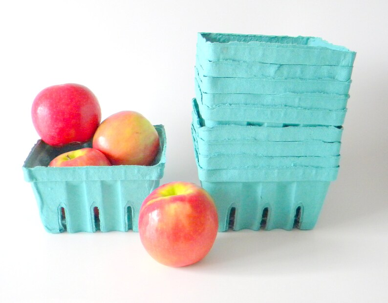 Berry Till Easter Basket 10 qty Wedding Favor Basket Quart Berry Baskets Farm Theme Party Favor Biodegradable Paper Pulp Basket