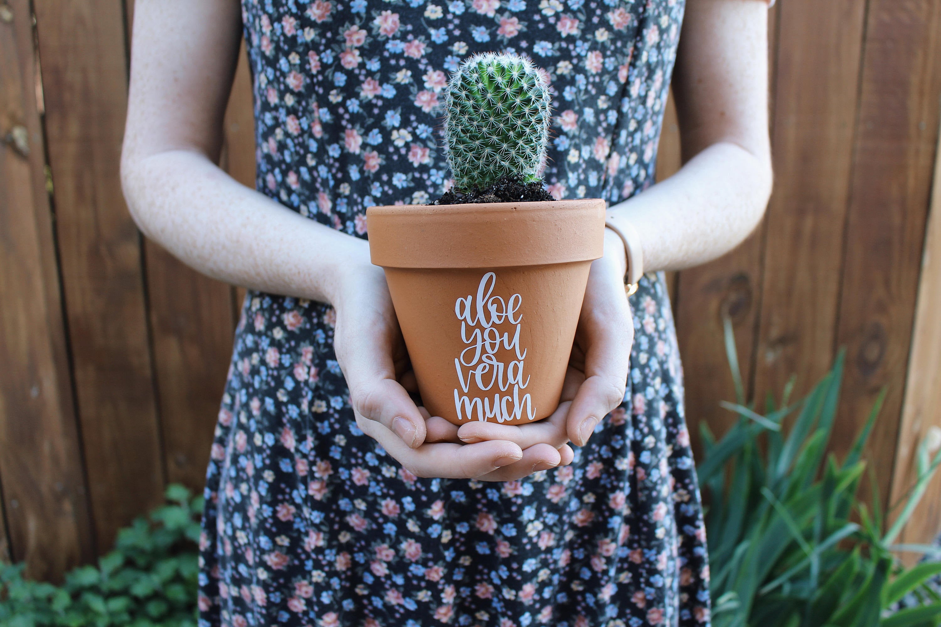 Hand-lettered Punny Planters/pots - Etsy