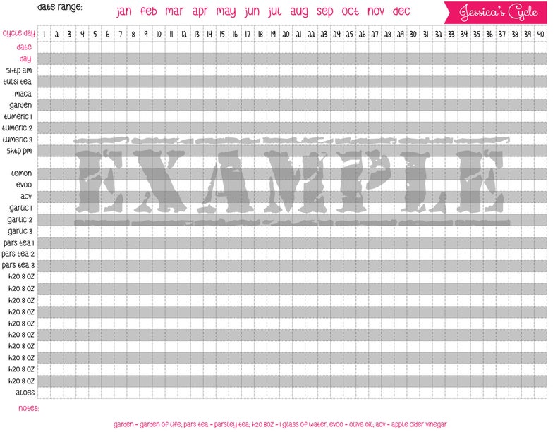 Basal Body Temperature Chart and Supplement Tracker Etsy