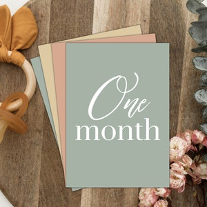 Monatliche Meilensteinkarten - Natur - DIGITAL DOWNLOAD, Babyshower Geschenk, Boho, Baby Photo Requisiten, 1-12 Monate