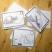 Snail Mail greeting card variety pack | Blank inside greeting card |