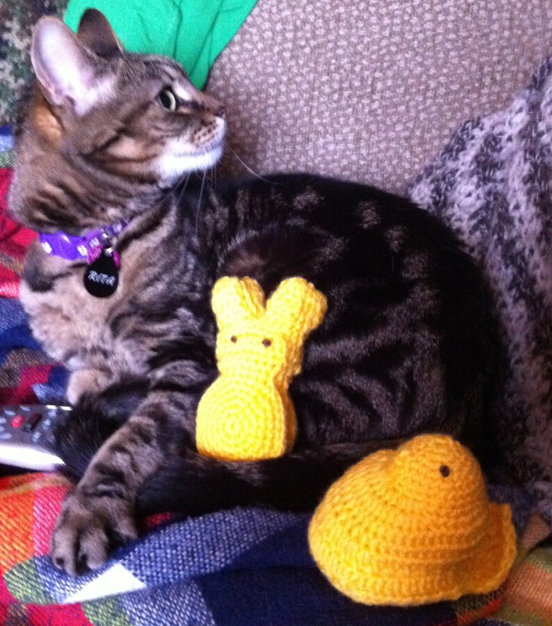 Cat Toy Crochet Marshmallow Treet Bunnies and image 0