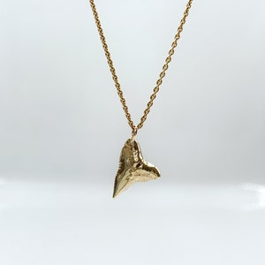Authentic 14k gold shark tooth necklace, Shark tooth pendant, Gold shark necklace, Sailor necklace, Shark diving, Gold shark jewelry