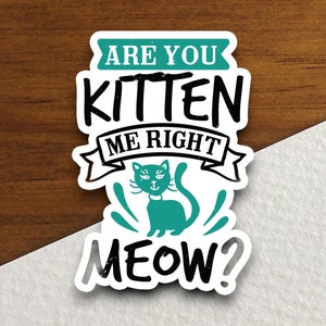 Are you kitten me right meow sticker, kitten Sticker, cute stickers, cat Sticker, animal Sticker, pet sticker, , funny stickers, Pet Sticker