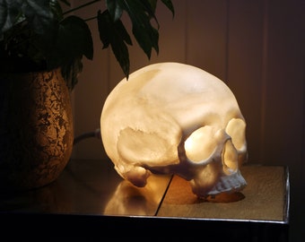 Skull lamp 2.0