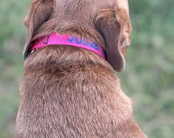 Collar para perro bordado personalizado, nombre y número de teléfono personalizados, collar de identificación para mascotas ajustable de nailon.