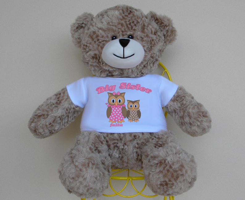 Big Sister 16 Personalized Teddy Bear personalized big | Etsy