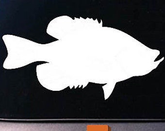 Crappie 6" Sticker Decal Ultra Light Bait Fishing Rod Reel Lure *D691*
