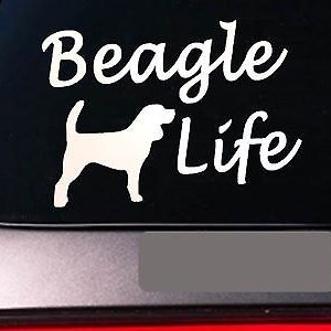 Beagle Life 6&quot; Sticker *E754* Rabbit Hunt Decal Vinyl E Collar Beagle Training
