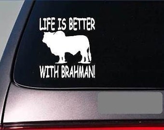 5/'/' or 6/'/' 3/'/' Spain Bull Grunge Stamp Car Bumper Sticker Decal