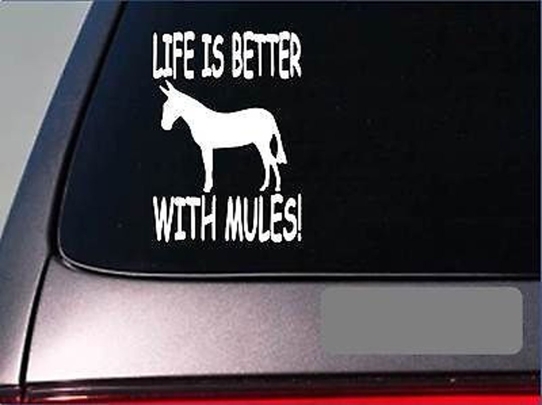 Life is Better With Mules F389 6 Sticker Decal Trailor Etsy