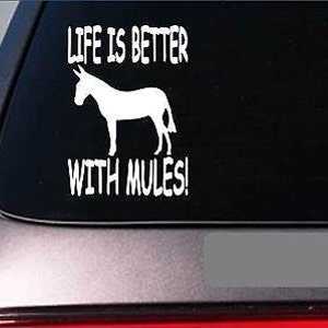 May include: White vinyl decal with the text "LIFE IS BETTER WITH MULES!" and a silhouette of a mule. The decal is applied to the rear window of a vehicle, with a black background.