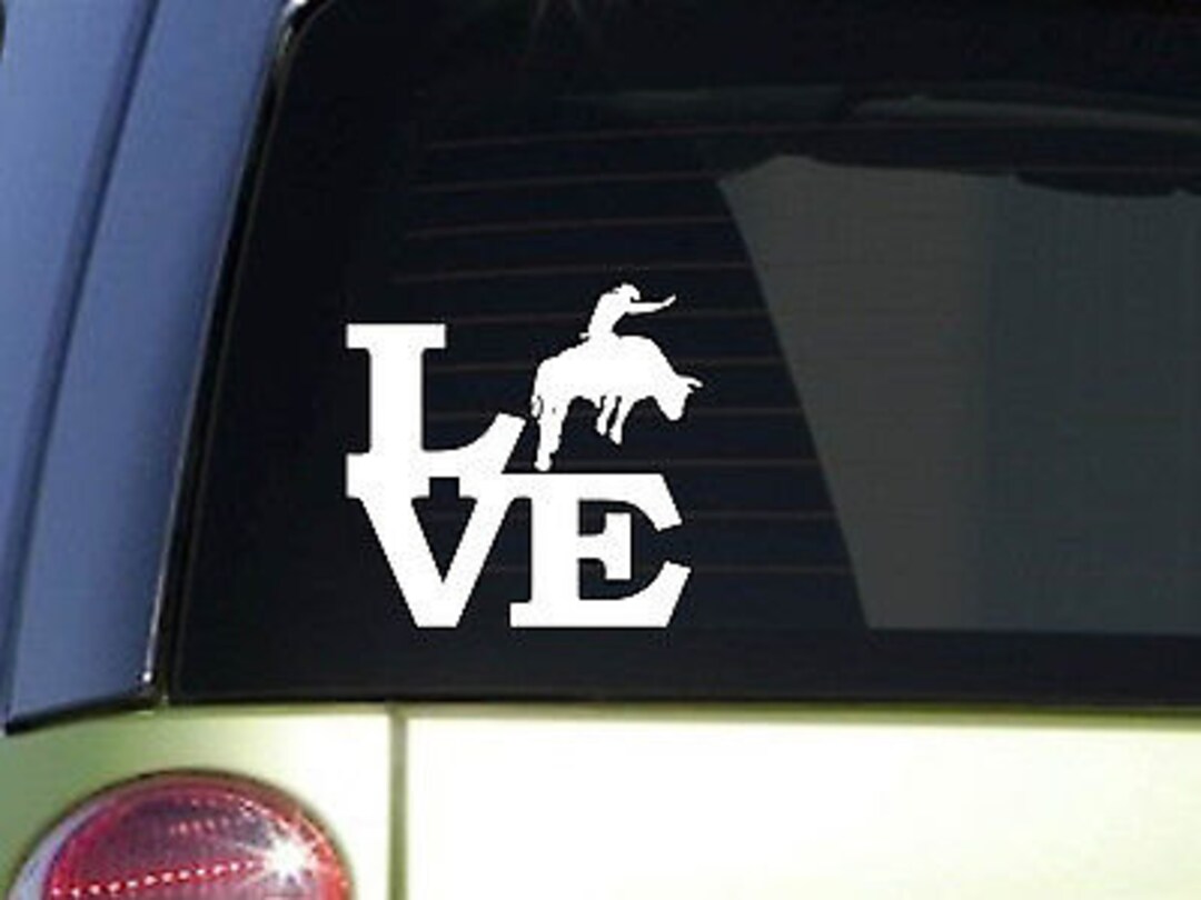 Bullrider Love 6