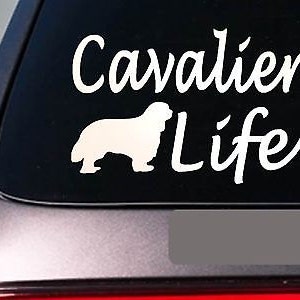 May include: White vinyl decal with a silhouette of a Cavalier King Charles Spaniel and the text "Cavalier Life".