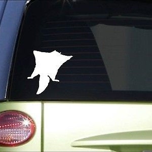 Flying Squirrel *I067* 8&quot; Sticker Decal Sugar Glider Cage Pen Food