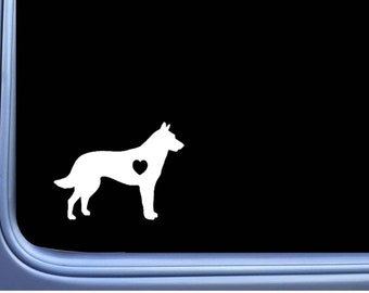 Dutch Shepherd Lil Heart M318 6 inch Sticker Decal schutzhund dog k9 dutchie