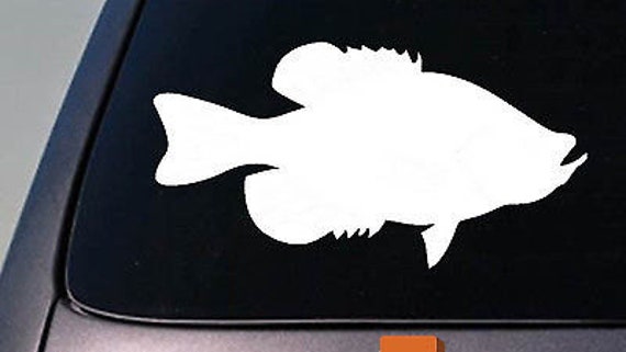 Buy Crappie 6 Sticker Decal Ultra Light Bait Fishing Rod Reel Lure D691  Online in India 