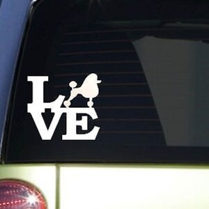 Poodle Love 6&quot; Sticker *F152* Decal Poodle Haircut Dog Groomer Toy Standard Mini