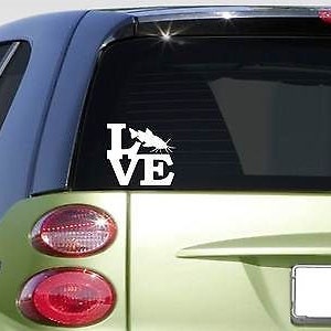 Catfish Love Sticker *G590* 8&quot; Vinyl Fishing Net Stink Bait Catfish Food