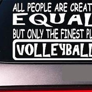 Volleyball All People Equal 6" Sticker *E611* Net Volleyball Shoes