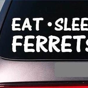 Eat Sleep Ferrets Sticker *G879* 8&quot; Vinyl Ferret Toys Leash Harness House Tunnel