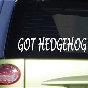 Got Hedgehog *H976* 8&quot; Sticker Decal Cage Food House