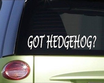 Got Hedgehog *H976* 8" Sticker Decal Cage Food House