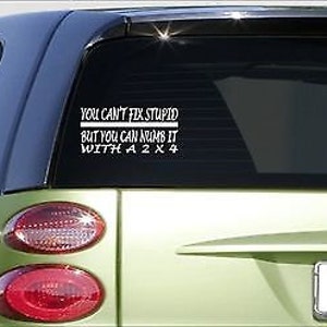 You Cant Fix Stupid Numb It 2X4 8&quot; Sticker *E975* Decal Joke Funny Jdm Turbo 4X4