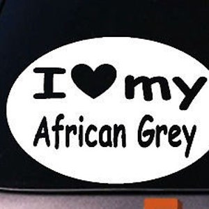 I Love My African Grey Parrot  Sticker Bird Macaw Window Sticker Decal Cage Wing