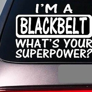 I&#39;M A Blackbelt Sticker Decal *E149* Karate Mma Kickboxing Judo Belt