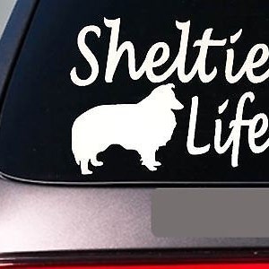 Sheltie Life 6&quot; Sticker *E768* Shetland Sheepdog Collie Leash Collar Dog Decal