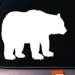 Bear Grizzly Black Bear Mountain Ski Hunting Lodge Yellowstone National Park 6"