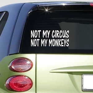 May include: White vinyl sticker with the text "Not My Circus Not My Monkeys" on a green car.