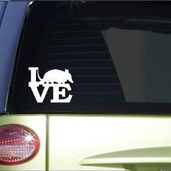 Armadillo Love Sticker *H168* 6" Vinyl Texas Decal