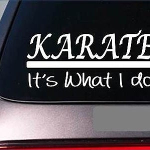 Karate Sticker Decal *E353* Black Belt Master Kickboxing Spar Roundhouse Book