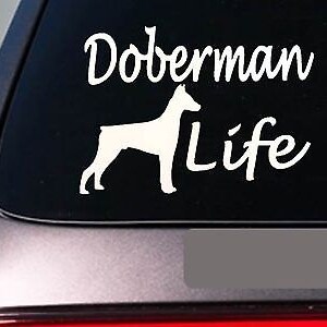 Doberman Life 6&quot; Sticker *E762* Doberman Pinscher Ear Crop Decal Vinyl K9