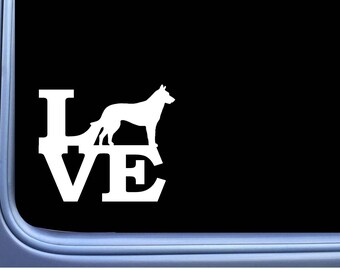 Dutch Shepherd Love M319 6 inch Sticker Decal schutzhund dog k9 dutchie