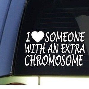 I Love Someone With An Extra Chromosome *H954* 8&quot; Sticker Down Syndrome