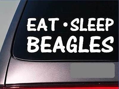 Beagle Vest - Etsy