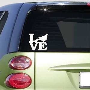 Pigeon Love 6&quot; Sticker Decal *F446* Pigeons Rollers Tumblers Fancy